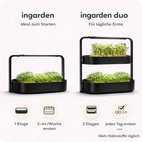 Duo Sign Up Page Bild Vergleich 1