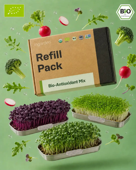 Hero Image Antioxidant Mix Microgreens Ingarden 2026