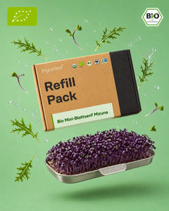 Hero Image Blattsenf Mizuna Microgreens Ingarden 2026
