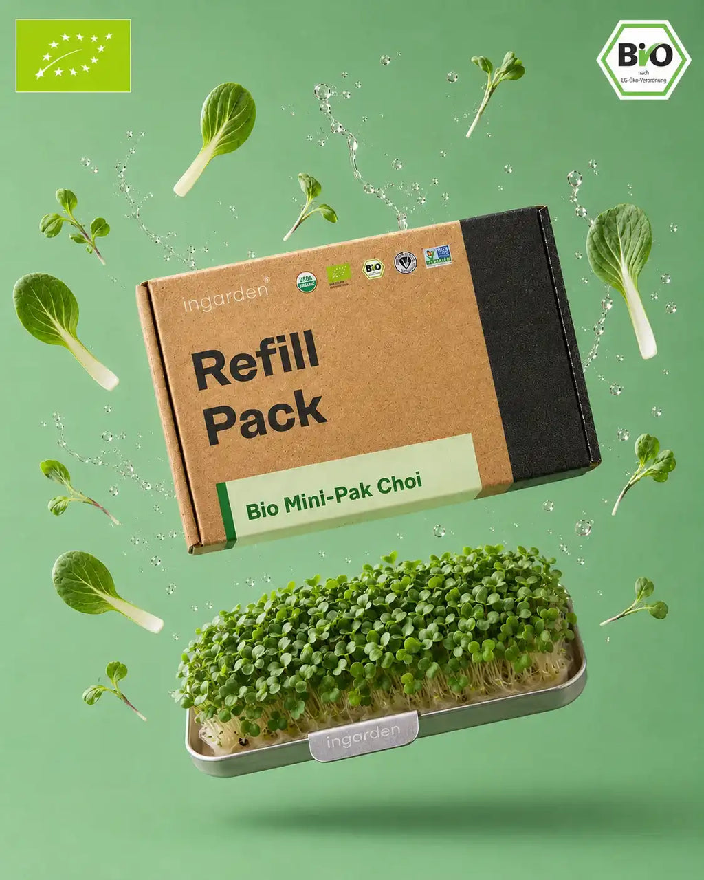 Bio Mini-Pak Choi product image