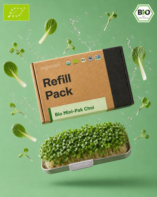 Hero Image Pak Choi Microgreens Ingarden 2026