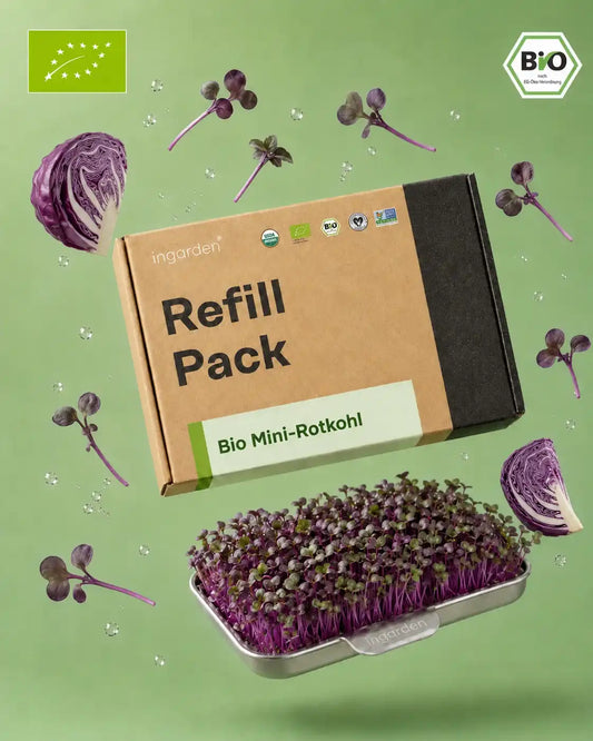 Hero Image Rotkohl Microgreens Ingarden 2026