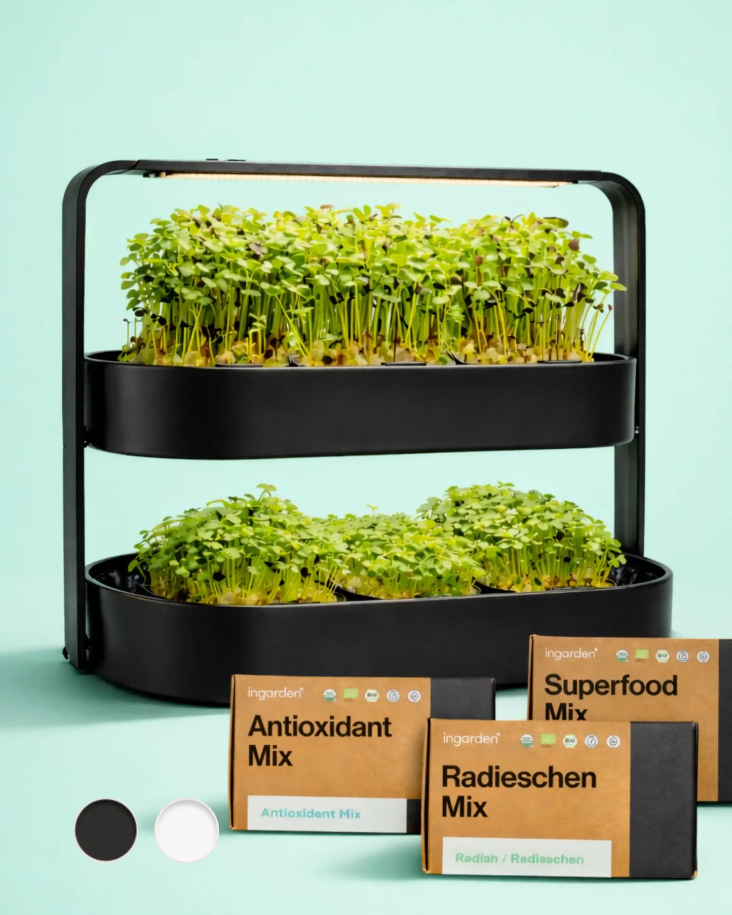 ingarden + All best-selling varieties