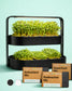 ingarden duo – zweistöckiger Smart Indoor Garden mit Bio-Microgreens, Vulkanschwarz
