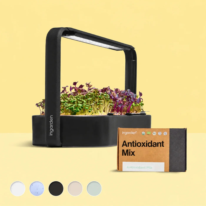 Kennenlern-Set Starter-Set