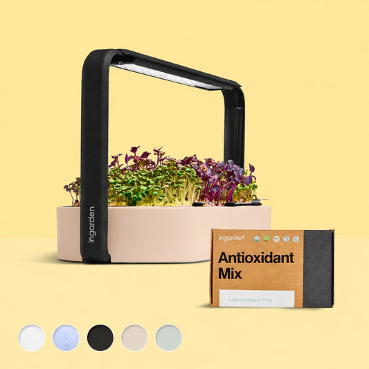 Bestseller Mix Set