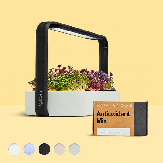 Bestseller Mix Set