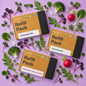 Bestseller Mix Pads – 30-Tage-Vorrat Duo