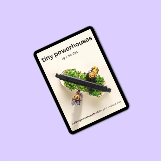 Abo-Special 2: Spezial E-Rezeptbuch (Wert 8€)