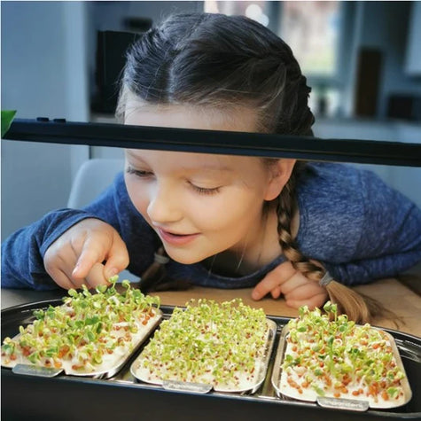 little girl looking fascinated at her ingarden microgreens