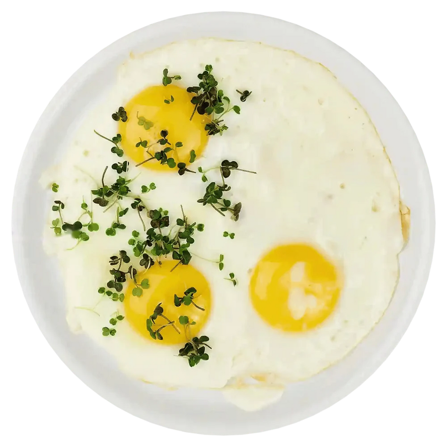 Spiegelei mit Microgreens