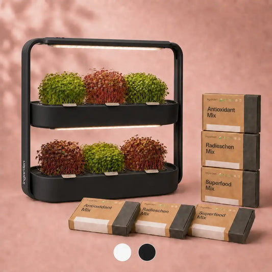 ingarden duo – Starter-Set mit 5 Bestseller-Sorten
