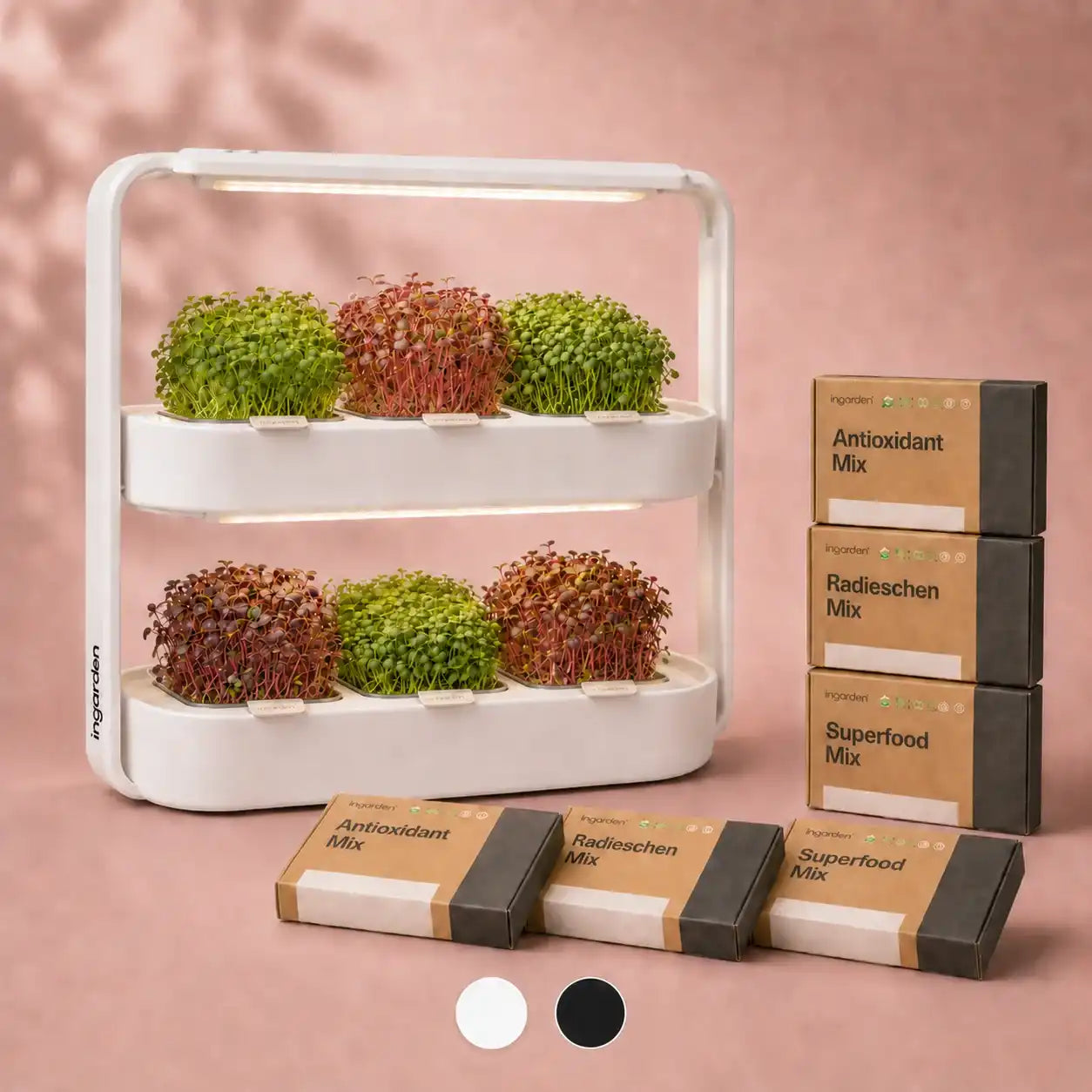 ingarden + All best-selling varieties