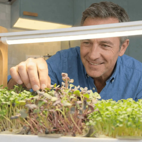 ingarden Kunde_50-60 Jahre_Mann