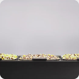 Ziehen und Ernten von schnell wachsenden, einfach keimenden Microgreens