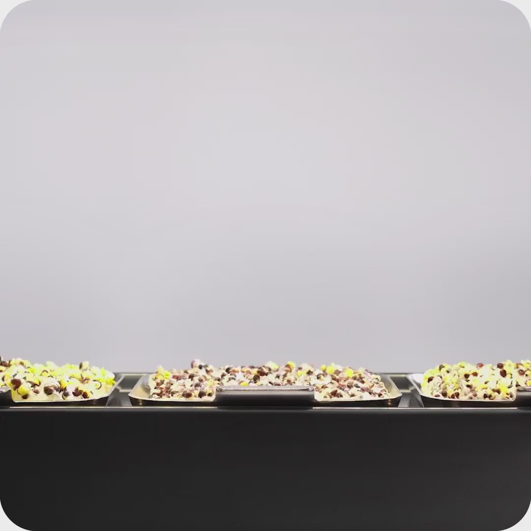 Ziehen und Ernten von schnell wachsenden, einfach keimenden Microgreens