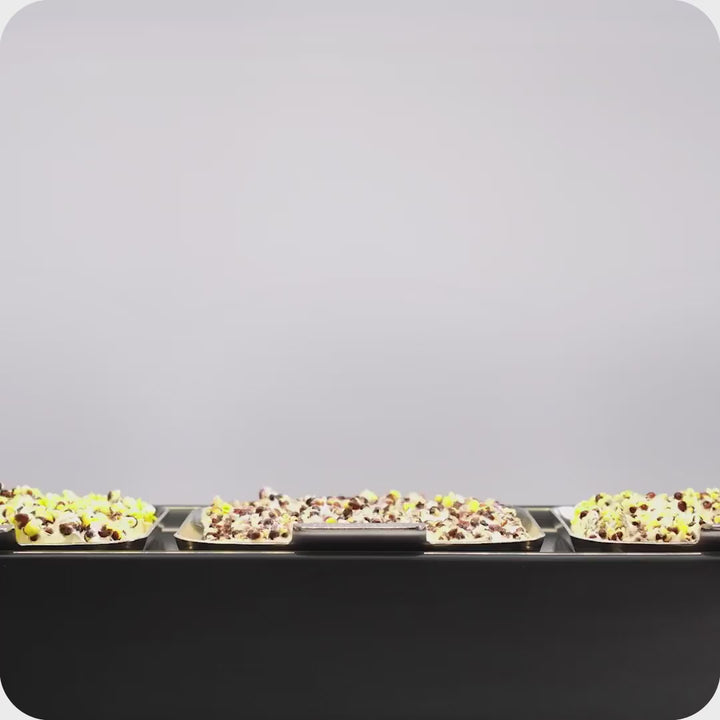 Ziehen und Ernten von schnell wachsenden, einfach keimenden Microgreens