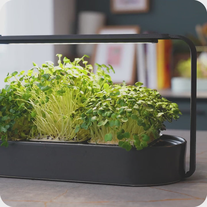 indoor garten in benutzung Familien