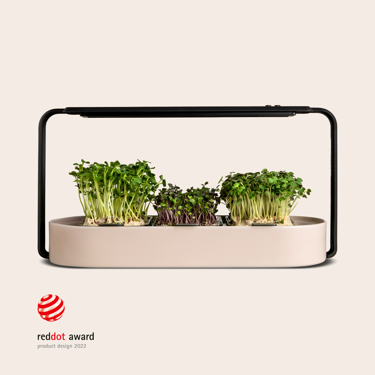 ingarden growing superfoods - beige
