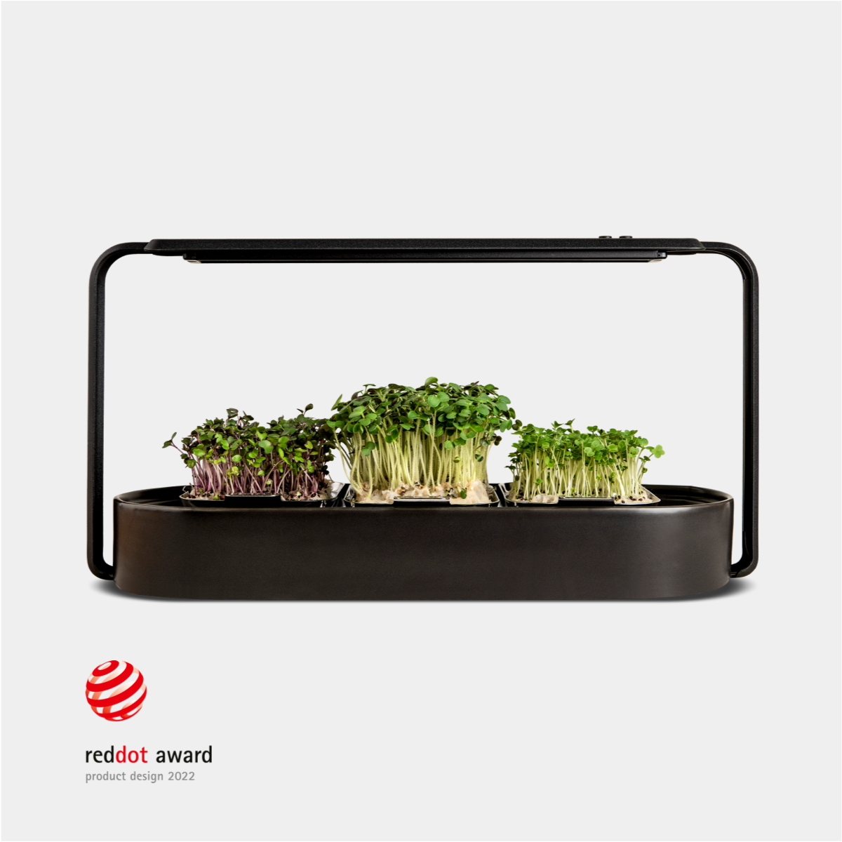 ingarden growing superfoods - black