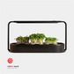 ingarden growing superfoods - black