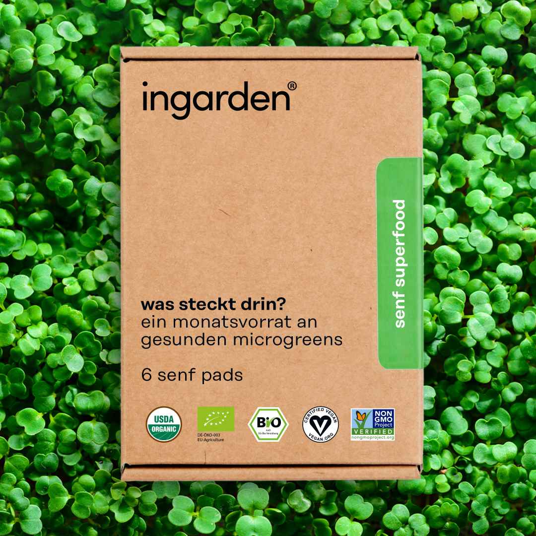 senf microgreens nachfüllpack