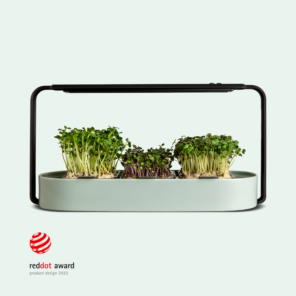 ingarden growing superfoods - mint